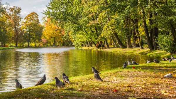 Les plus beaux parcs à visiter en Île-de-France