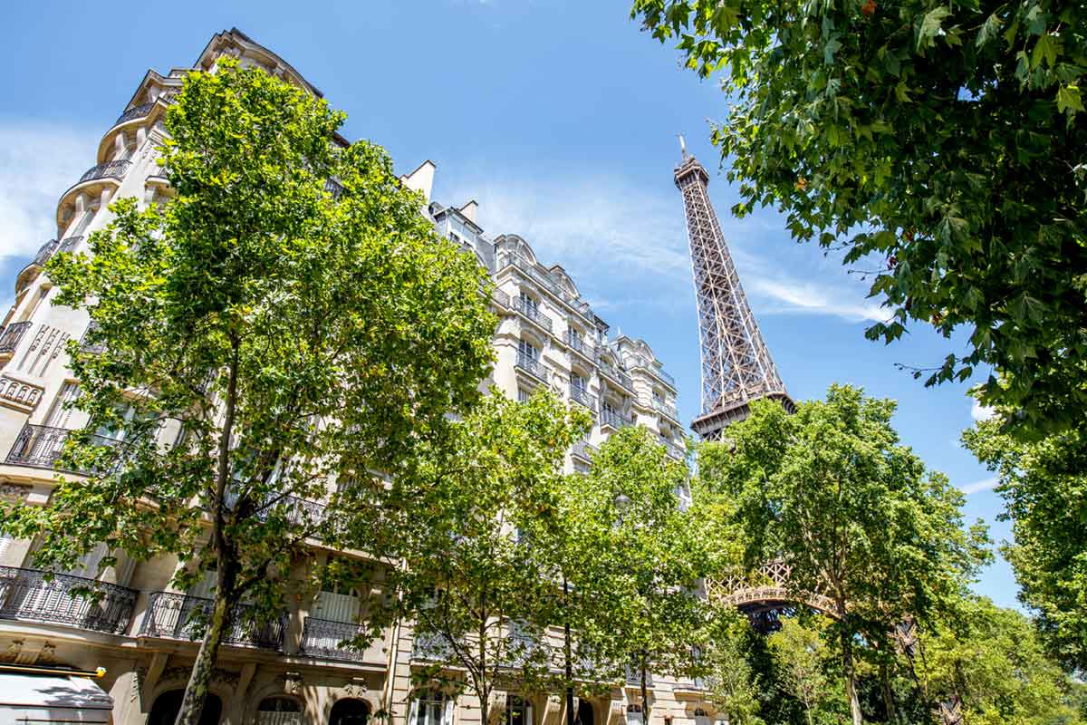 Arbres dans Paris avec une vue en second plan sur la tour Eiffel