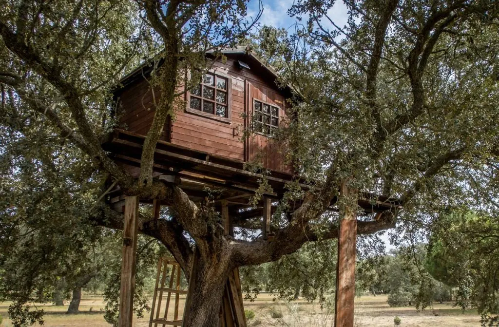 Cabane des les arbres en IDF