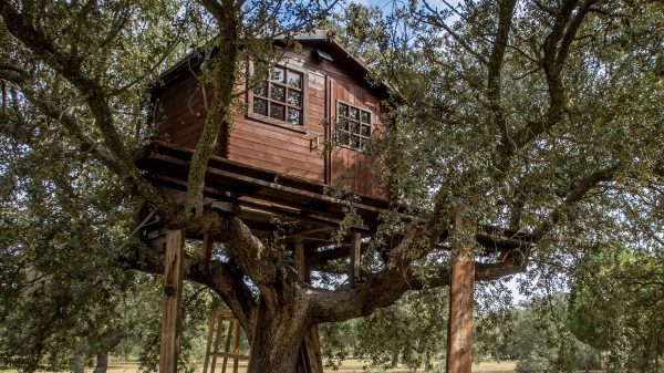 Cabane des les arbres en IDF