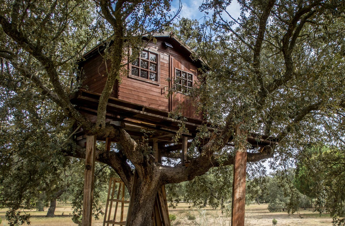 Cabane des les arbres en IDF
