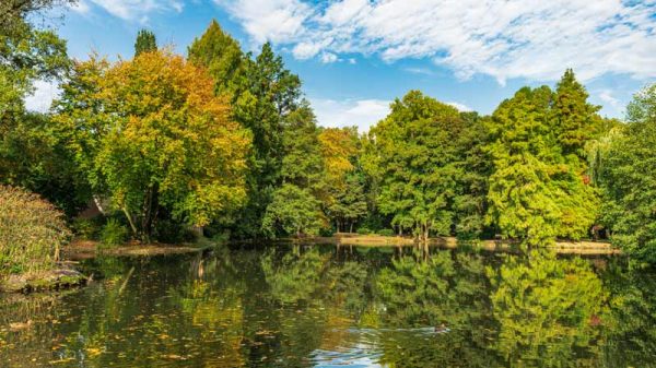 Où observer la faune et la flore en Île-de-France