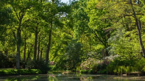 Guide des forêts accessibles facilement depuis Paris